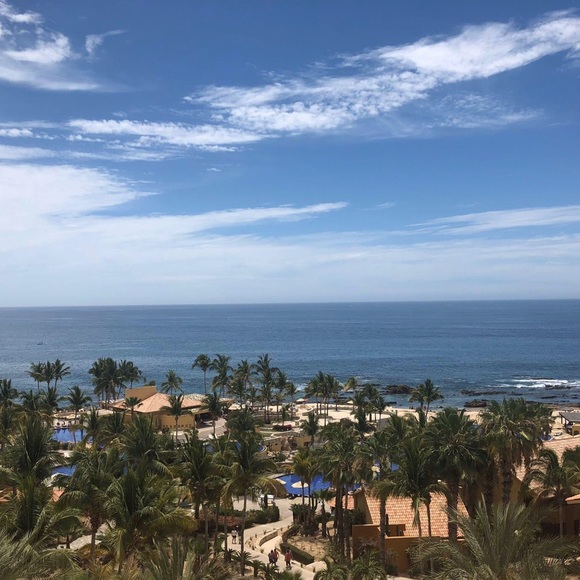 Meet your Posher, Mae - Picture 1 of 1